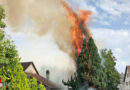 Schweiz: Hecke und Baum beim Unkraut abflammen in Altnau in Brand geraten