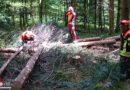 Bayern: Feuerwehr trainiert Motorsägeneinsatz → Windbruch fordert Einsatzkräfte regelmäßig