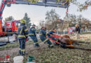 Oö: Rettung eines im Teich liegenden Pferdes in Wallern