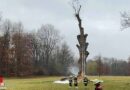 Bayern: Habitatbaum musste nach Bränden im Englischen Garten in München gefällt werden