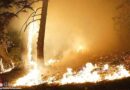 Bayern | Nö: Spezialisten der Bergwachten unterstützen die Bergrettung Niederösterreich bei der Waldbrand-Bekämpfung im Rax-Gebiet