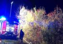 Nö: Baum stürzt auf Stromleitung → Feuerwehr Weissenbach verhindert Waldbrand