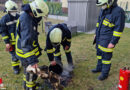 Nö: Brennenden Adventkranz in St. Pölten aus dem Fenster geworfen