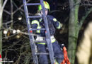 Oö: Feuerwehr Lambach holt Katze vom Baum