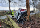 D: Mit Pkw bei Horneburg Baum gefällt → 68-Jähriger eingeklemmt und getötet