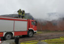 D: Nach Feuer in Königshügel Marihuanaplantage mit rund 6.000 Pflanzen entdeckt