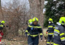 Stmk: Kräftige Sturmböen erfordern mehrere Einsätze im Bereich Mürzzuschlag am 17.01.2022