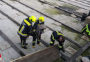 Bgld: Mehrere Rehe aus leerem Regenwasserabsetzbecken in Mattersburg gerettet