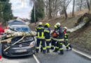 Nö: Baum stürzt während Sturmböen in Kautzen auf fahrenden Pkw