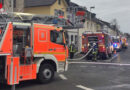 D: Zimmerbrand in Bonn-Ippendorf → Feuerwehr rettet zwei Hunde