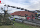 Oö: Baum stürzte auf Betriebsgebäude