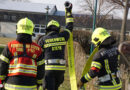 Oö: Branddienstleistungsabzeichen in Bronze vom Löschzug Minichholz in Steyr absolviert 