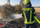 Bgld: Waldbrand auf rund 2.000 Quadratmeter in Loretto