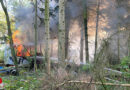 D: Bauwagen mit Gasflaschen und Schuppen brannten in Waldstück in Sonsbeck