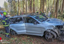 Oö: Auto in einem Waldstück in Regau gegen Bäume gekracht