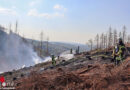 D: Waldbrand in Lennestadt erfordert dreieinhalbstündigen Löscheinsatz