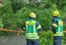 Bgld: Unwettereinsatz für die Feuerwehr Riedlingsdorf