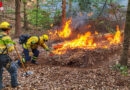 D: Internationale Waldbrandspezialisten von @fire unterstützen bei verheerenden Waldbränden in Brandenburg und Sachsen