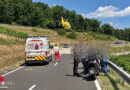 Nö: Menschenrettung und Böschungsbrand am Seiberer – Motorrad kommt von Straße ab → Biker löschen mit Eistee