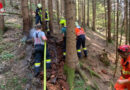 Stmk: Großer Wurzelstock brannte im Waldgebiet bei Neuberg an der Mürz