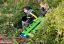 D: Rettung eines Fußgängers aus Dornensträucher in Gelsenkirchen