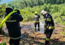 Nö: Großflächiger Waldbrand in Gaaden verhindert