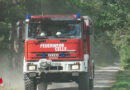 D: Waldbrand in Altencelle → rund 5.000 m² Unterholz brennen