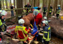 D: Pferd bricht in Murg in Brücke ein → schwieriger Tierrettungseinsatz