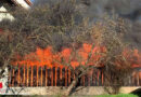 Oö: Vollbrand eines Wirtschaftsgebäudes in Aschach an der Donau