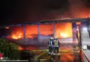 D: Brand bei Gärtnereibetrieb in Delmenhorst → 700 m2 große Fahrzeughalle zerstört