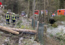 D: Schwerverletzter (58) bei Holzrückearbeiten in Olsberg