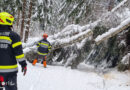 Stmk: Neuschnee sorgte am 23. / 24.01.2023 für Chaos im Bezirk Deutschlandsberg