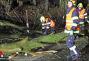 Oö: Sturmtief „Pit“ sorgt für mehrere Einsätze der Feuerwehren