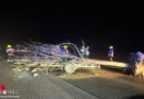 D: Bei Unfall verlorener Baum blockiert Autobahn bei Mutterstadt