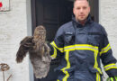 D: Feuerwehr Herdecke rettet Eule aus Kamin