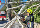 Nö: Sturmeinsätze (11.3.2023) in Baden und Melk