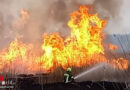 Bgld: Bundesheer unterstützt Schilfbrand-Löscheinsatz am Neusiedler See