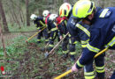 Nö: 50 Feuerwehrmitglieder zur Wald-und Flurbrandbekämpfung ausgebildet