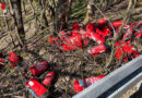 D: 30 gefüllte Feuerlöscher im Wald entsorgt