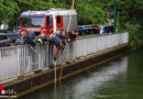 Oö: Einsatzkräfte der Feuerwehr erneut „zum Fischen“ an den Mühlbach in Wels-Innenstadt ausgerückt