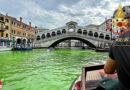 Italien: Giftgrüner Canal Grande in Venedig