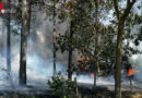 D: Forstmaschine löst Waldbrand in Weeze aus