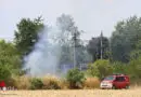 Oö: Vegetationsbrand an der Westbahnstrecke bei Gunskirchen