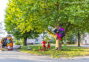 Oö: Höhenretter üben Rettung eines Paragleiters aus Baum