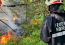 Nö: Bahndammbrand entwickelt sich zu Waldbrand