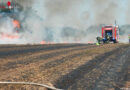 Oö: Großflächiger Feldbrand durch Spannungsüberschlag