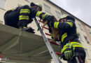 Bayern: Gismo auf Abwegen → Kater und Feuerwehr München erfüllen Klischee