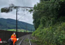 Oö: Baum auf Oberleitung stoppt Zugsverkehr in Garsten