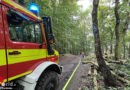  D: Waldbrandübung der Jugendfeuerwehren aus dem EN-Kreis in Herdecke