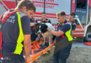 Nö: Hund in Schwechat aus Fluss gerettet